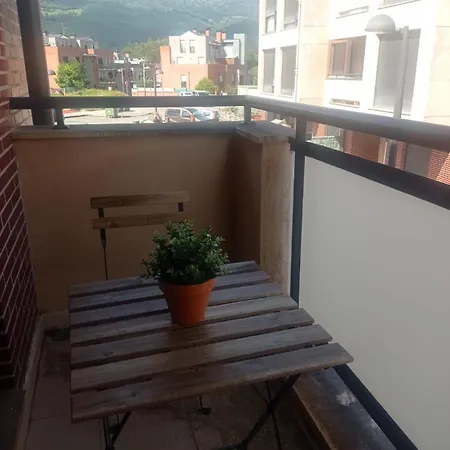 Apartment Covalanas *